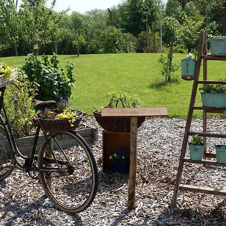 Le Manoir Des Aromes Hotel Brugny-Vaudancourt Eksteriør billede