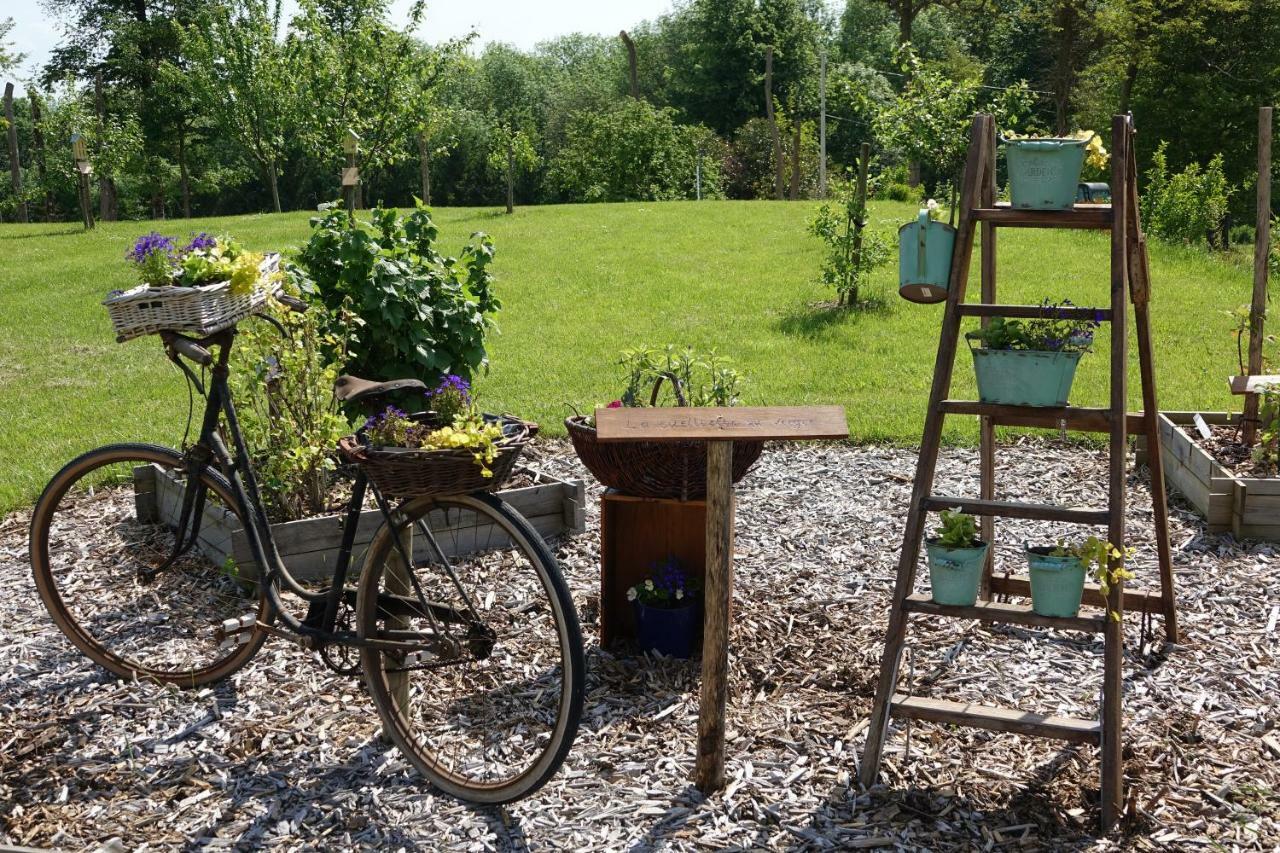 Le Manoir Des Aromes Hotel Brugny-Vaudancourt Eksteriør billede